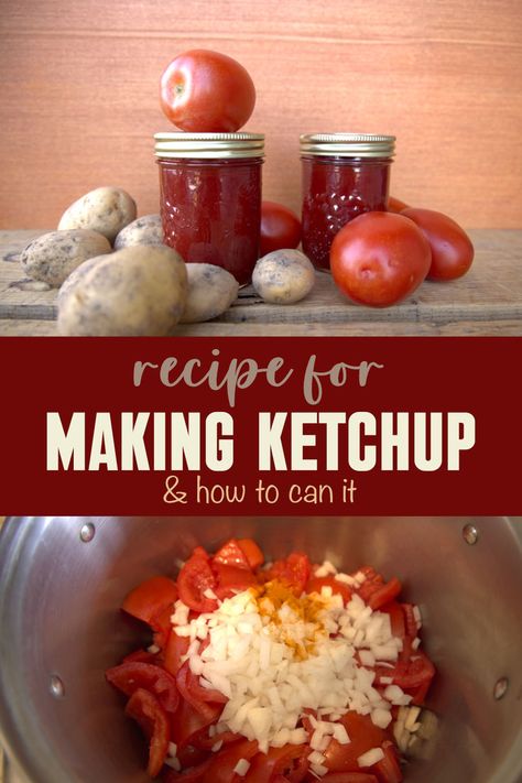 An easy homemade ketchup recipe for canning Ketchup For Canning, Ketchup Recipe For Canning, Diy Ketchup, Apartment Homesteading, Tomato Ketchup Recipe, Homemade Ketchup Recipes, Water Bath Canning Recipes, Tomato Harvest, Easy Canning