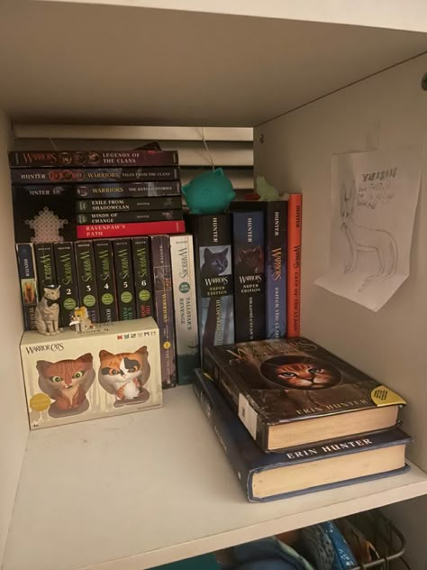 My personal collection! Warrior Cats Themed Bedroom, Warrior Cats Aesthetic, Cat Themed Bedroom, Warriors Memes, Cat Warrior, The New Romantics, Warrior Cats Books, Battle Cats, Warriors Cats