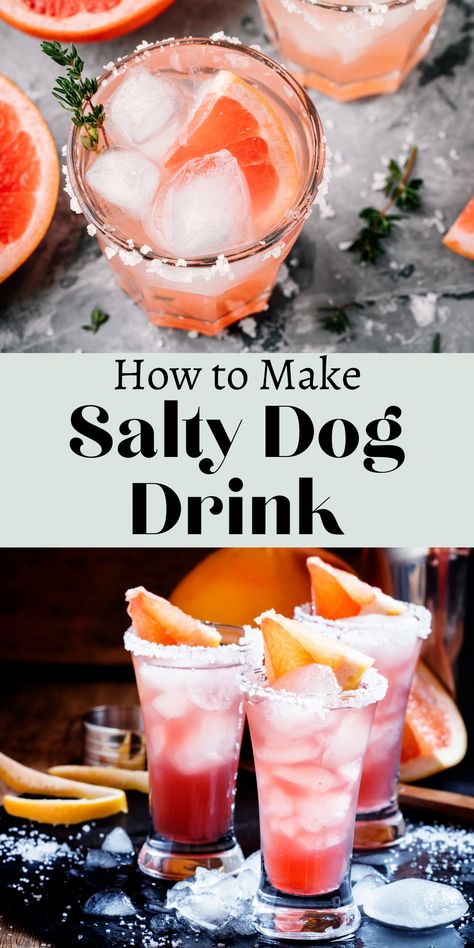 The Salty Dog drink is closely related to the Greyhound, with the only difference being the salty rim that pulls the various ingredients together. Making use of only two main ingredients, this drink is very simple to make and can be created with either vodka or gin Salty Dog Drink, Salty Dog Cocktail Recipe, Grapefruit Gin Cocktail, Salty Dog Cocktail, Summer Drink Ideas, How To Make Cocktails, Dog Cocktail, Make Cocktails, Hendricks Gin