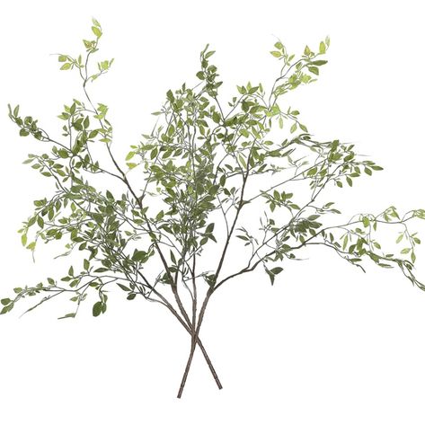 Panonw Greenery Plant Art Reference, Nandina Domestica, Faux Plants Decor, Neutral Bathroom Decor, Vase With Branches, Lucky Bamboo Plants, Faux Branches, Restoration Hardware Inspired, Greenery Wedding Decor