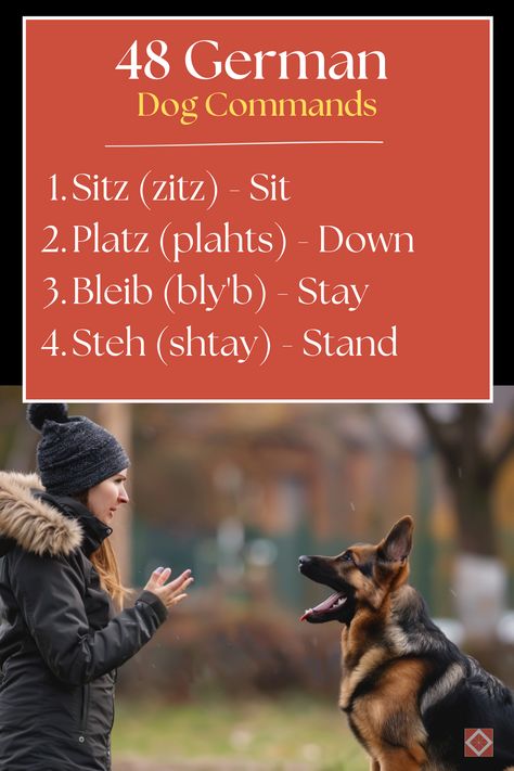 Master German Dog Commands: Essential Training Tips: Unlock the power of German dog commands, a preferred method used by professional trainers worldwide. This page packed with practical advice on how to effectively use commands like "Sitz" (sit) and "Bleib" (stay) to enhance your dog's training. Perfect for anyone looking to elevate their training techniques. Click to learn more or save this pin for your training sessions! Dutch Dog Commands, Dog Commands In German, German Commands For Dogs, German Dog Commands, Commands For Dogs, Things To Do With Dogs, Dog Facility, Dr Bailey, Dog Commands Training