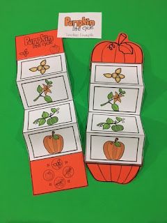 Pumpkin Life Cycle Preschool, Pumpkin Life Cycle Craft, Pumpkin Lessons, Cycle Stages, Pumpkins Preschool, Pumpkins Kindergarten, Pumpkin Unit, Life Cycle Craft, Fall Lesson Plans