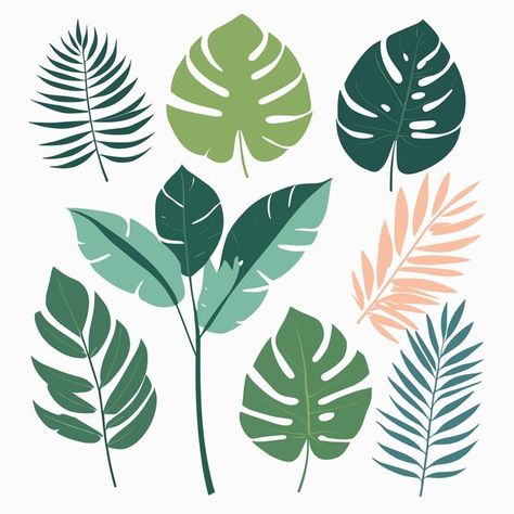 Exotic leaves tropic leaf set vector ill... | Premium Vector #Freepik #vector #tropical #flat #plants #plant Tropical Leaf Illustration, Leaf Illustration Design, Supplement Design, Tropical Leaves Illustration, Plants Vector, Leaf Vector, Illustration Botanical, Leaf Silhouette, Leaf Illustration