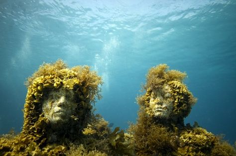 Jason DeCaires Taylor and the Sublime Cancun | Elena Cué Jason Decaires Taylor, Underwater Museum, Underwater Sculpture, Artificial Reef, Concrete Statues, Underwater Art, Under The Water, Water Art, Sculpture Park