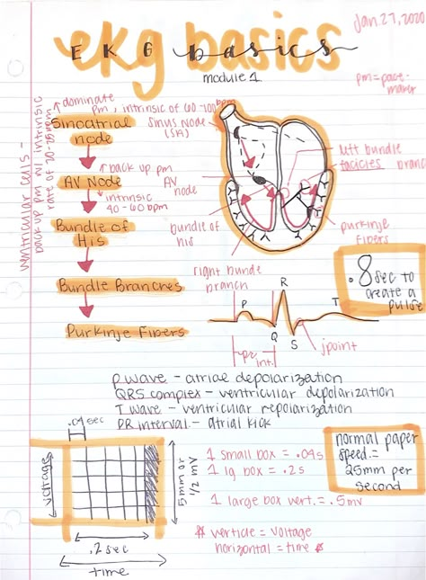 Ekg Notes, Respiratory Therapy Notes, Ekg Tech, Nursing School Studying Cheat Sheets, Ekg Interpretation, Medical Assistant Student, Paramedic School, Nursing School Essential, Nurse Study