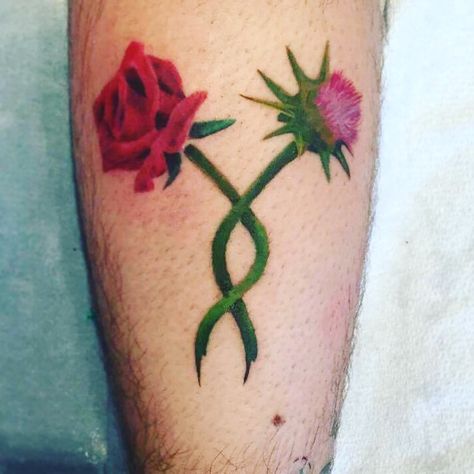 Rose and Thistle tattoo intertwined Rose Thistle Shamrock Tattoo, Thistle Rose Tattoo, Lis Tattoo, Scottish Tattoos, Thistle Tattoo, Shamrock Tattoos, Irish Tattoos, Folk Lore, Irish Rose