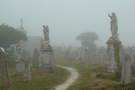 Foggy Graveyard by SolusShadow, via Flickr Foggy Graveyard, Graveyard Aesthetic, Ghost Graveyard, Gothic Graveyard, Ghost Project, Grave Yard, Rennaissance Art, Whimsical Halloween, American Gothic