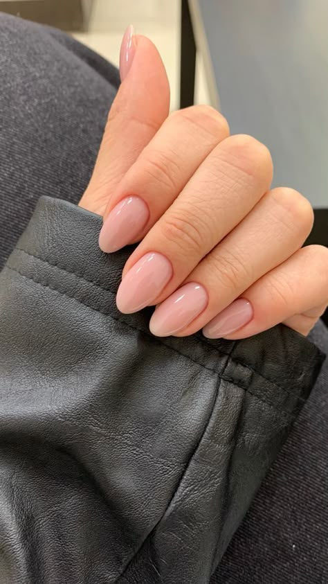 Natural Gel X Nails Almond, Nail Shapes Ideas, Oval Square Nails Shape, Basic Nails Oval, Natural Nail Almond Shape, Short Almond Nails Elegant, Round Nails Medium Length, Very Natural Nails, Oval Simple Nails