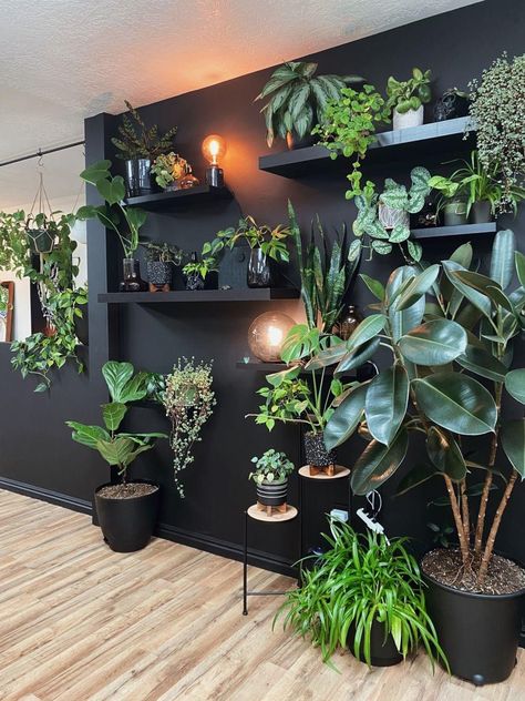 Indoor Plant Wall, نباتات منزلية, Plant Decor Indoor, House Plants Decor, Room With Plants, Home Decorating Ideas, House Plants Indoor, Plant Shelves, Plant Wall