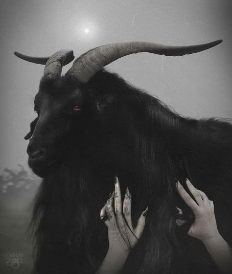 🜏Ley de Luz𓃵 on Instagram: “From: @ormblod . . . #sataniccommunity #satanism #satanas #baphomet #sigilofbaphomet #belcebu #darkart #satan #satanismo #infierno…” Black Phillip Tattoo, Black Phillip The Witch, Black Philip, Michael Langdon, Black Phillip, Black Goat, Goat Skull, Goat Art, Black Magick