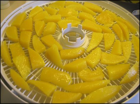 Mango Candy Recipe, Dehydrating Mango, Candied Mango, Beef Jerky Recipe Dehydrator, Food Dehydrator Recipes, Dehydrated Recipes, Dehydrating Food Storage, Dehydrating Recipes, Mango Slices