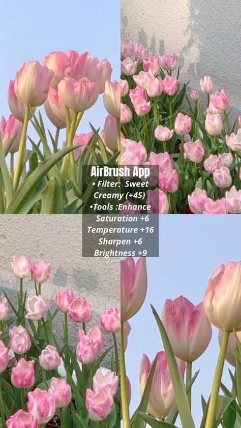 Pics edited by AirBrush App. Filter: Sweet> Creamy (+45)> •Tools :Enhance> Saturation +6> Temperature +16> Sharpen +6> Brightness +9. #airbrushapp #retouch #photoeditor #filter #airbrushmakeup #airbrushart #airbrushfilter App Edit, Insta Dump, Designing Tips, App Filter, Feed Layout, Instagram Feed Layout, Airbrush App, Editing Tricks, Vsco Filters