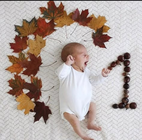 1 Month Old Fall Baby Pictures, 1 Month Thanksgiving Pictures, 1month Old Baby Pictures Ideas, Newborn Autumn Photography, Newborn 1 Month Pictures, Autumn Newborn Photoshoot, 1 Month Old Baby Pictures Boy, One Month Old Baby Pictures Ideas, 1 Month Baby Boy Photoshoot