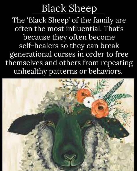 Tiffany Oatway on Instagram: “Hands UP if you’re the black sheep 🖤” Black Sheep Quotes, Sheep Quotes, Shaman Symbols, Empath Abilities, Black Sheep Of The Family, Dolores Cannon, Spiritual Readings, The Black Sheep, Soul Work