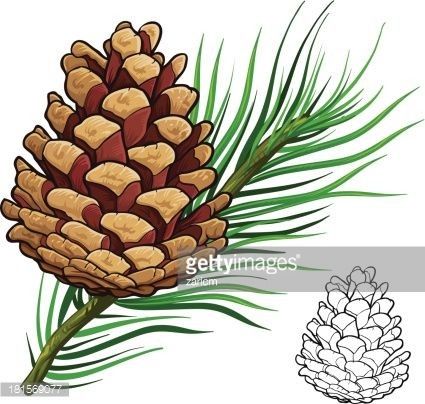 Pine Cone Drawing, Cone Drawing, Christmas Pinecones, Simple Line Drawing, Pine Cone Art, Simple Line Drawings, Cones Crafts, Art Carte, Pine Cone Crafts