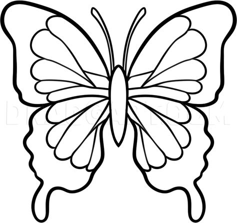 How To Draw A Black Butterfly by Dawn | dragoart.com Printable Butterfly Coloring Pages, Wings Folded, Butterfly Step By Step, Easy Butterfly Drawing, Butterfly Coloring Pages, Printable Butterfly, Butterfly Art Drawing, Butterfly Stencil, Butterfly Coloring