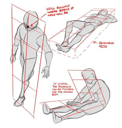 남성 근육, Perspective Drawing Lessons, Human Anatomy Drawing, Perspective Art, Anatomy Poses, Perspective Drawing, Anatomy Drawing, Body Drawing, Figure Drawing Reference