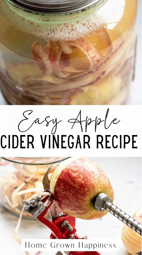 One of my favorite and easiest ways to use up excess apples is making your DIY apple cider vinegar, otherwise known as ACV. The great thing is you can use other fruit to make homemade vinegar too! Think plum vinegar, feijoa vinegar, or pear vinegar! Homemade fruit vinegar is delicious in salad dressings! Apple Baking Recipes, Pear Vinegar, Make Vinegar, Vinegar Hacks, Vinegar Cleaning Hacks, Fermenting Recipes, Homemade Vinegar, Apple Baking, Homemade Apple Cider Vinegar