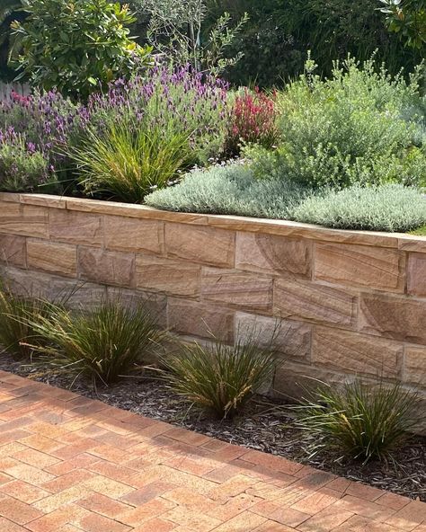 A wall fit for spring ! 

Our Quarry Run Non-Selective, Rockface Cladding was the perfect choice for this garden.

A #repost from the team over @leuca_landscapes 

Gosford Quarries. No. Equivalent. 

( #📷 @leuca_landscapes )

.
.
. Sandstone Retaining Wall Landscaping, Sandstone Retaining Wall, Garden Retaining Wall Ideas, Fence Retaining Wall, Sandstone Cladding, Garden Retaining Wall, Landscaping Retaining Walls, Spring Sunshine, House Landscaping