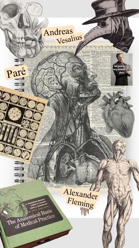 Had to pull out the gcse history knowledge for this one Gcse Sketchbook Ideas, History Gcse, History Knowledge, Andreas Vesalius, Gcse History, Gcse Sketchbook, Alexander Fleming, Gcse Revision, Age Of Discovery