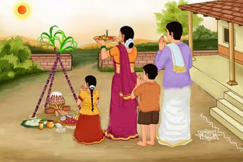 Pongal is a harvest festival observed in the southern part of India with great joy. It’s a 4-day long celebration observed by lighting bonfire, preparing Pongal food, worshipping cattle, and seeking blessings for a prosperous future. Pongal Drawing, Pongal Photos, Sankranti Rangoli Designs, Pongal Festival Images, Pongal Rangoli Design, Pongal Images, Indian Thanksgiving, Thai Pongal, Happy Pongal Wishes