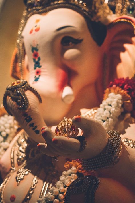 Ganpati Bappa Images, Bappa Images, Om Gam Ganapataye Namaha, Tag Quotes, Ganpati Photo Hd, Ganpati Songs, Photos Of Ganesha, Ganesh Ji Images, Ganpati Bappa Wallpapers