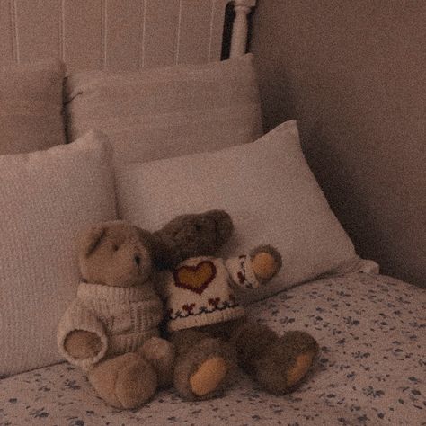 Best Friend Brown Aesthetic, Brown Astethic Icons, Teddycore Aesthetic, Downtown Homescreen, Cozy Brown Aesthetic, Brown Widget, Bear Aesthetic, Brown Image, Fox And Rabbit