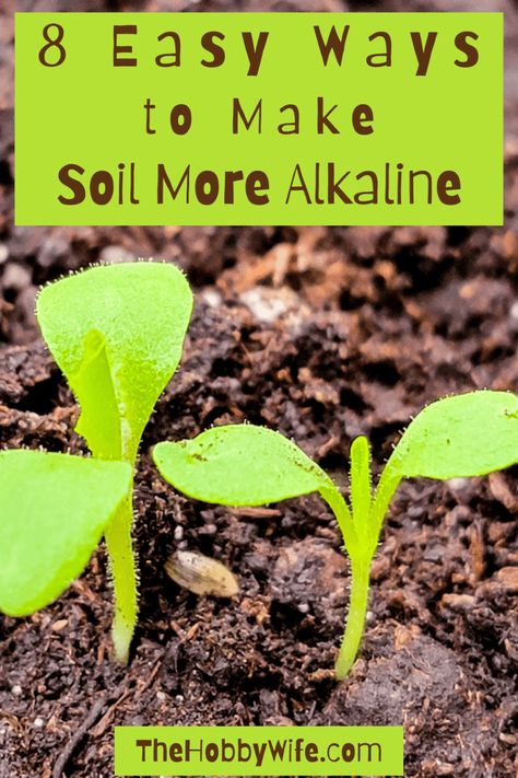 Alkaline garden soil. Alluvial Soil, Alkaline Soil, Acidic Soil, Plant Tips, Garden Plan, Soil Ph, Woodland Garden, Fruit Tree, Backyard Inspo