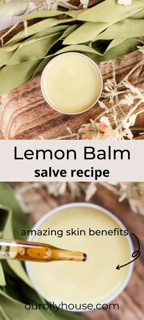 Kawakawa Balm Recipe, Dried Lemon Balm Uses, Lemon Balm Salve Recipe, Kawakawa Balm, Lemon Balm Salve, Lemon Balm Benefits, Lemon Balm Uses, Lemon Balm Oil, Lemon Balm Recipes