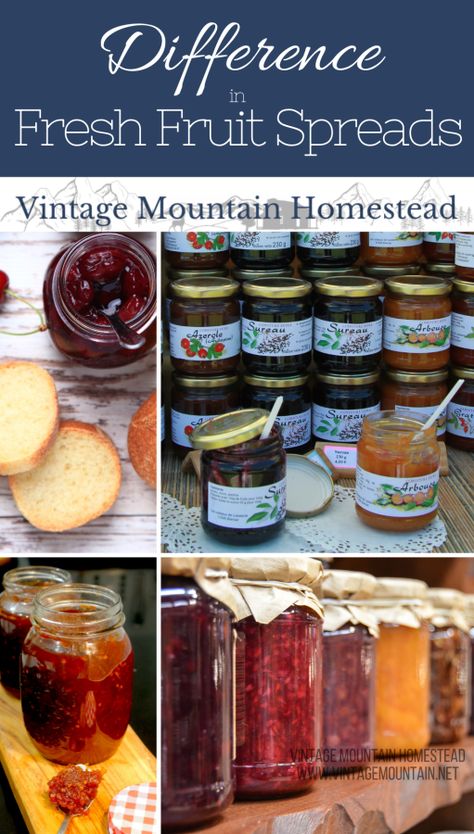 Difference between Fruit Spreads ⋆ Vintage Mountain Homestead Fruit Spreads Recipes, Fruit Spread Recipe, Mountain Homestead, Fruit Butter, Fruit Butters, Fruit Plus, Butter Fruit, Fruit Spread, Canning Fruit