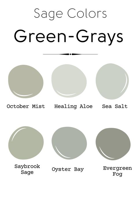 Gray Green Paint Colors, October Mist, Benjamin Moore Green, Sage Colors, Healing Aloe, Green Grey Paint, House Color Palettes, Paint Color Schemes, Real Homes