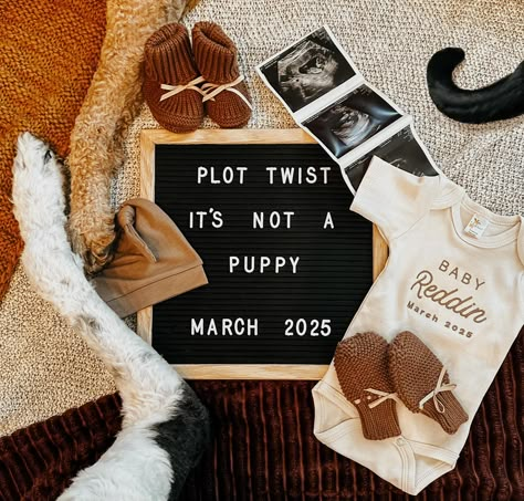 Pregnancy anouncement with 2 dogs and a cat. Dog Big Sister Announcement, Pet Baby Announcement, Baby Announcements With Dogs, Baby Announcement With Cat, Cat Baby Announcement, Dog Pregnancy Announcement Puppies, Dog Announcing Pregnancy, Pregnancy Announcement With Cat, Pregnancy Announcement Photos With Dogs