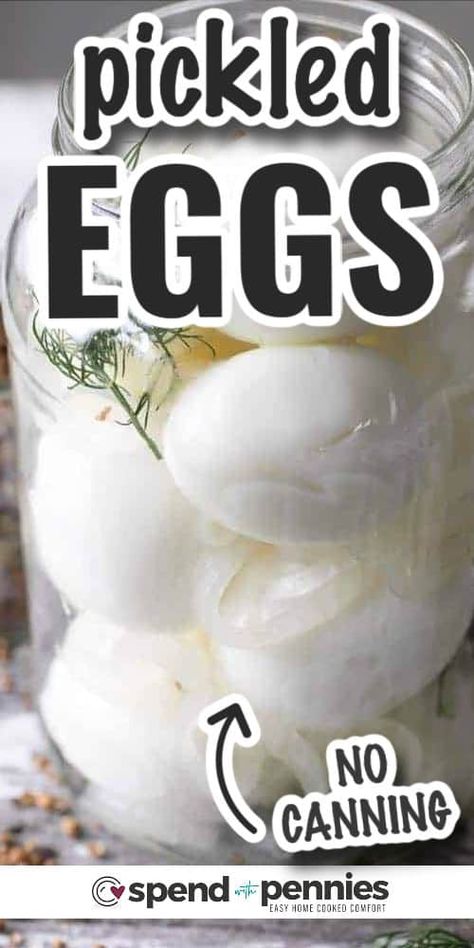 Easy Pickled Eggs (No Canning Required) Easy Pickled Eggs, Best Pickled Eggs, Pickle Eggs, Spicy Pickled Eggs, Pickled Quail Eggs, Pickled Eggs Recipe, Pickled Eggs, Refrigerator Pickles, Sandwich Fillings