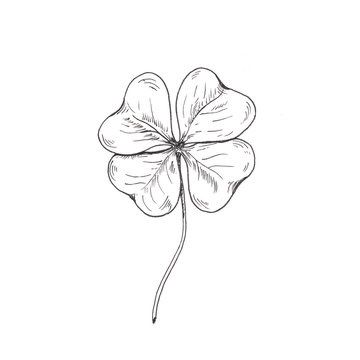 Clover Sketch, Four Leaf Clover Drawing, Clover Drawing, Shamrock Tattoo, Leaf Clover Tattoo, Fingerprint Tattoos, Cousin Tattoos, Four Leaf Clover Tattoo, Black Line Tattoo