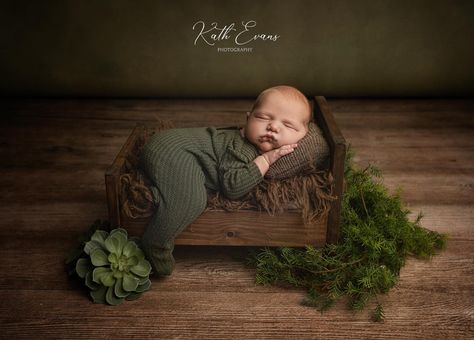 Photography For Newborns, Newborn Shoot Props, Woodland Theme Newborn Photoshoot, Safari Newborn Photography, Creative Newborn Photos, Woodsy Newborn Photos, Babyboy Photoshoot Ideas Newborn, Newborn Photography Ideas Studio, Spring Newborn Pictures Boy