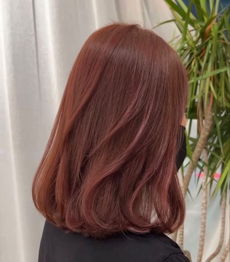 Jisoo Ginger Hair, Maroon And Ginger Hair, Light Brownish Red Hair Color, Maroon Auburn Hair, Wine Copper Hair, Auburn Hair On Brown Hair, Light Brown Hair Dyed Red, Coffee Bean Hair Color, Asian Reddish Brown Hair