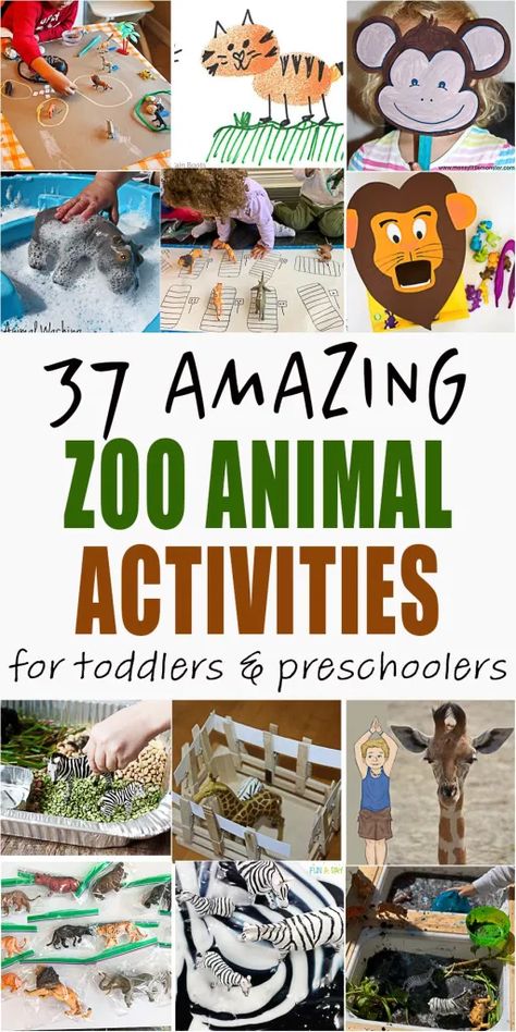 Animal Themed Fine Motor Activities, Zoology Activities For Preschool, Animal Planet Activities For Preschool, Zoo Stem Activities Preschool, Eyfs Zoo Activities, Animals Unit Kindergarten, Pre K Animal Activities, Zoo Unit Kindergarten, Zoo Animals Preschool Activities Science