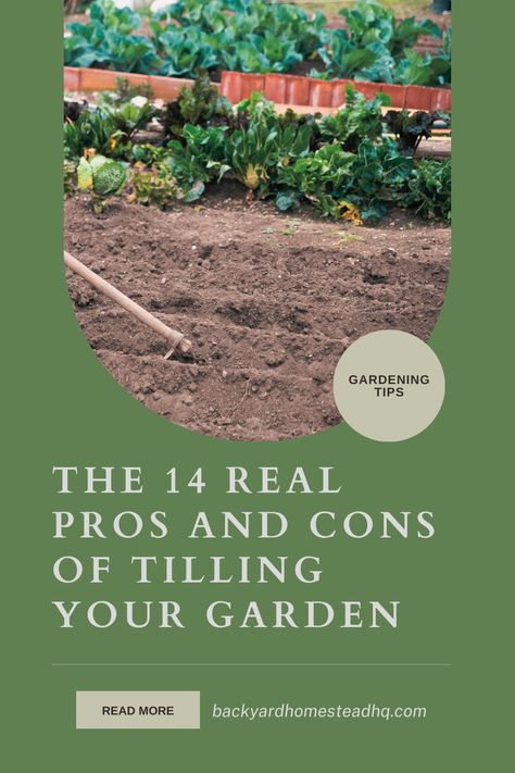 Tools used for tilling can be expensive. Chickens are excellent natural tilling gardeners. Tilling will help kill any visible weeds. Till works better for a quicker building up of any soil. Tilling is useful when the soil needs to be broken down. #gardeningtips #tilledgardenlayout #howtostartanotillgarden #howtotillgarden #whentotillgarden #tillvsnotill #backyardhomesteadhq Prune Fruit, Backyard Homestead, Decorative Plants, Natural Ecosystem, Clay Soil, Peat Moss, Organic Matter, Mulch, The Soil