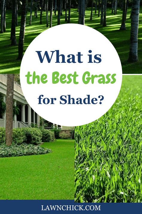 If you have a lot of shade on your property, you'll need a turfgrass that can deal with those kinds of conditions. Luckily, there are plenty of fantastic options to choose from. In this handy blog post, we reveal the best grasses for shade, so you can choose the ideal one for your lawn. Whether you need a cool-season or warm-season grass, you can find one that will be right to plant. Give us a visit to learn about all your options. Grass For Shaded Yard, Best Grass For Shade, Grasses For Shade, North Texas Gardening, Lawn Grass Types, Fescue Grass Seed, Tall Fescue Grass, Grass Seed Types, Fescue Lawn