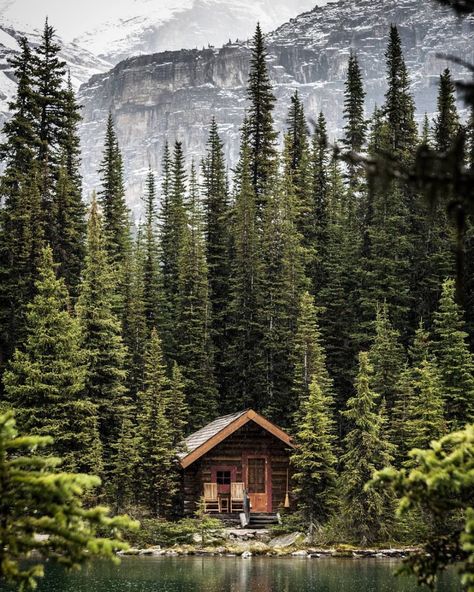 wistfullycountry: Jack | @jackhonglee  - Meena's Tirith Cabin In The Mountains, Yoho National Park, Forest Cabin, Hapkido, Little Cabin, Lake Cabins, A Cabin, Cabin In The Woods, Cabin Life