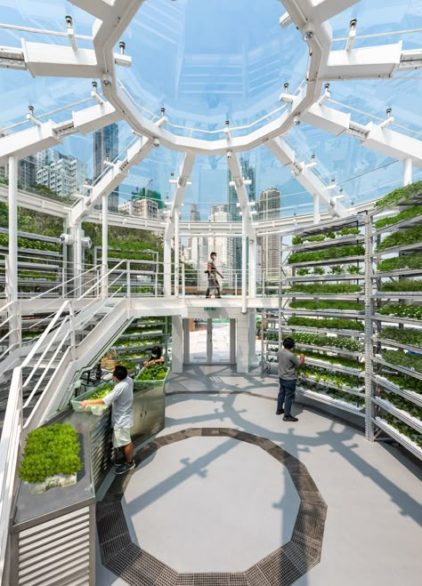 Eco Farming, Urban Farming Architecture, Farming Architecture, Community Farm, Types Of Farming, Vertical Farm, Smart Farm, Indoor Farming, Solar Punk