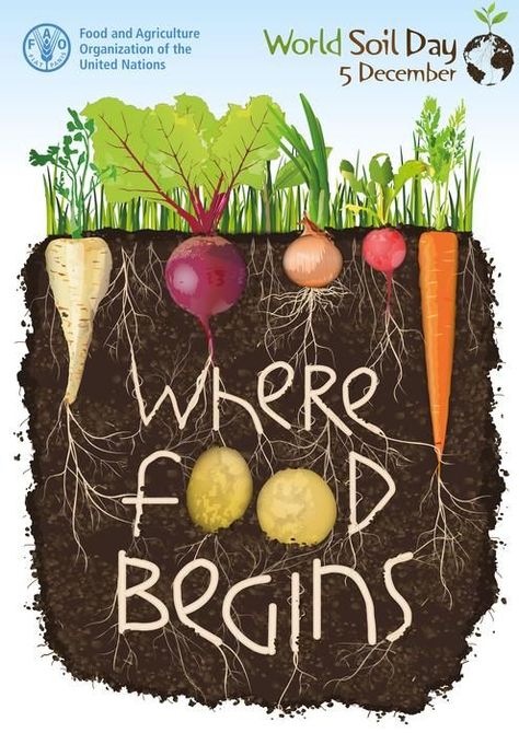 World Soil Day, Soil And Water Conservation, Organic Store, Soil Conservation, Project Cover Page, Healthy Soil, Sustainable Management, Agriculture Education, Life Poster