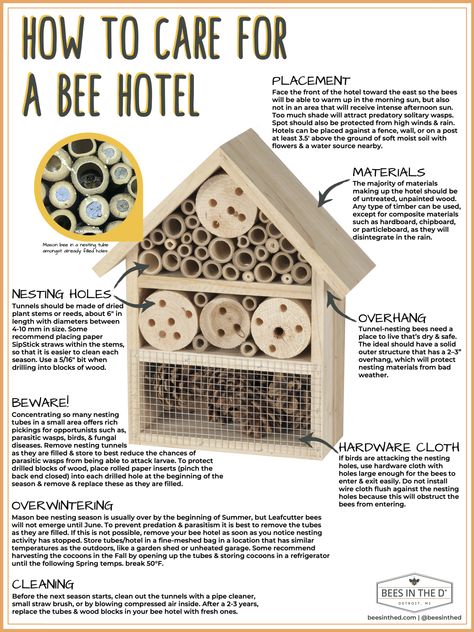 Solitary Bee Hotel, Native Bee House, Bumble Bee House Diy, Mason Bees Keeping, Bee Hotel Diy How To Make, Bee Friendly Garden Design, Carpenter Bee House, Diy Pollinator Hotel, Bee Hotels Diy How To Build