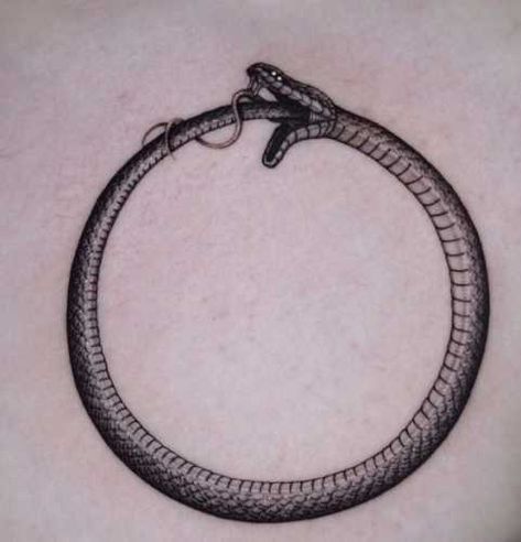 21 Mesmerizing Snake Tattoos on Stomach: Embrace the Allure of Serpents Black And Grey Tattoos For Men, Ouroboros Tattoo, Circle Tattoos, Stomach Tattoos, Tattoo Designs For Men, Line Work Tattoo, Band Tattoo, Snake Tattoo, Great Tattoos