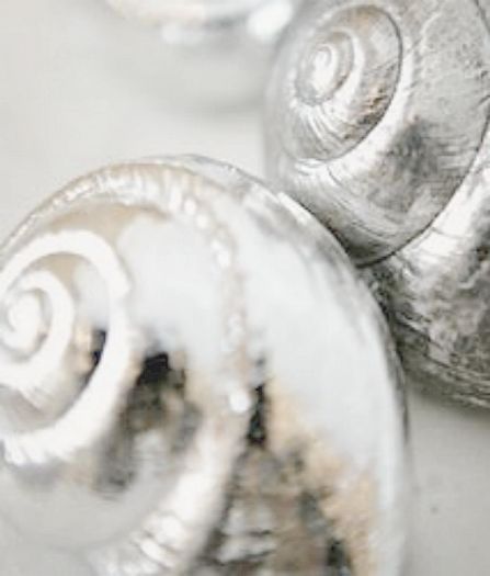 Beautiful Seashells, Hotel Images, Silver Aesthetic, Shell Painting, Silver Spray Paint, Silver Spray, Water Creatures, Mood Images, Painted Shells