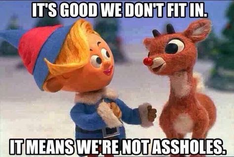 It's good we don't fit in. Means we're not assholes. Christmas Memes Funny, Humor Mexicano, Christmas Memes, Christmas Messages, Rudolph The Red, Weird Pictures, Red Nosed Reindeer, Holiday Humor, Just Funny