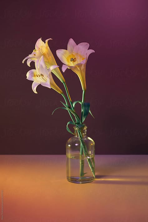 Bunch Of White Lilies In A Vase. | Stocksy United Flowers Vase Arrangements, Flowers In A Glass Vase, Vase Of Flowers Reference, Vases Reference, Flowers And Vases, Flower Vase With Flowers, A Vase Of Flowers, Lily In Vase, Plant In Glass Vase