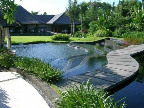 Clara, anak terakhir dan satu-satunya perempuan diantara abang dan se… #fiksipenggemar # Fiksi Penggemar # amreading # books # wattpad Tanaman Air, Modern Water Feature, Taman Air, Minimalist Garden, Natural Swimming Pools, Flower Garden Design, Natural Swimming Pool, Natural Pool, Small Garden Design