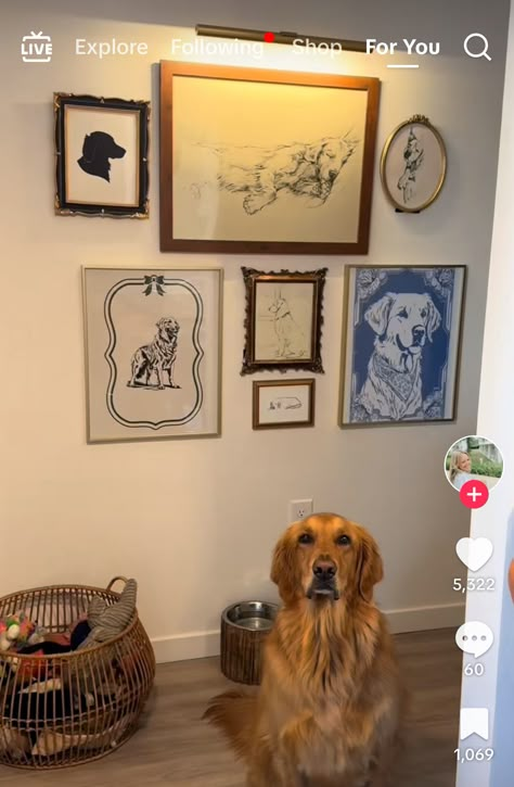 Dog Decor Aesthetic, Dog Area In Home, Dog Home Decor Ideas, Dog Photo Gallery Wall, Gallery Wall For Dog, Dog Art Gallery Wall, Dog Bowl Gallery Wall, Pet Memorial Shelf Ideas, Dog Collage Wall