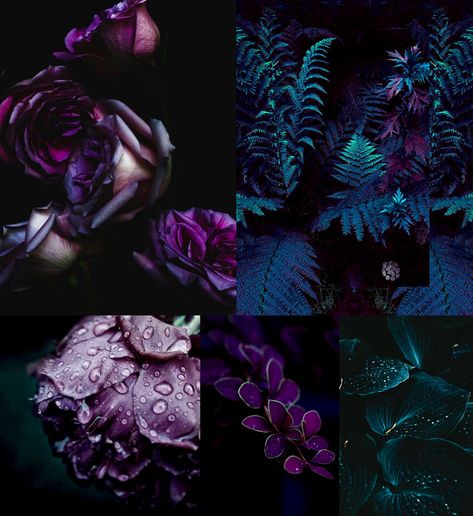 Deep Jewel Tones Color Inspiration, Black And Jewel Tone Color Palette, Purple Jewel Tone Color Palette, Dark Floral Room Ideas Bedrooms, Moody Purple Room, Whimsigothic Color Palette, Moody Paint Palette, Moody Jewel Tone Bedroom, Jewel Tone House